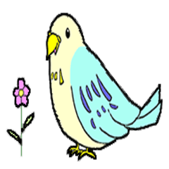 [LINEスタンプ] インコのピィちゃん