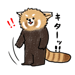 [LINEスタンプ] レッサーパンダのれさぱん君