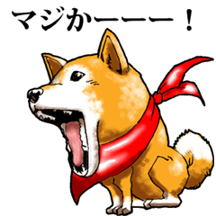 [LINEスタンプ] 赤マフラー柴犬。