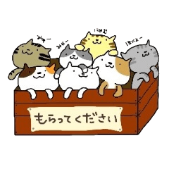 [LINEスタンプ] ほんわかねこ日和