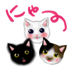 [LINEスタンプ] カワイイ子猫たちのスタンプ