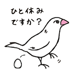 [LINEスタンプ] お待たせ鳥ブンゴとお友達スタンプ