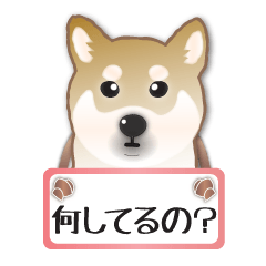 [LINEスタンプ] 毎日使える～！柴犬さんの連絡スタンプ