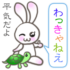 [LINEスタンプ] 全国で使える☆群馬のほのぼのうさぎ＆カメ