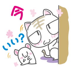 [LINEスタンプ] 目つきが悪ニャンのスタンプ