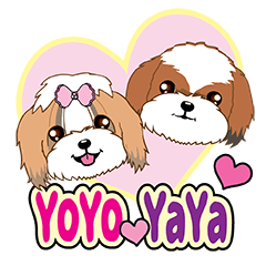 [LINEスタンプ] Shih Tzu Couple YaYa ＆ YoYo