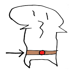 [LINEスタンプ] あかし