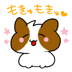 [LINEスタンプ] モルモットのもーちゃん