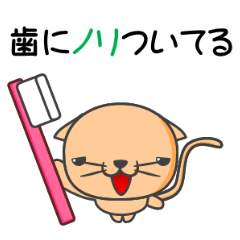 [LINEスタンプ] 言いにくい事を言ってくれる猫 ハチトラ